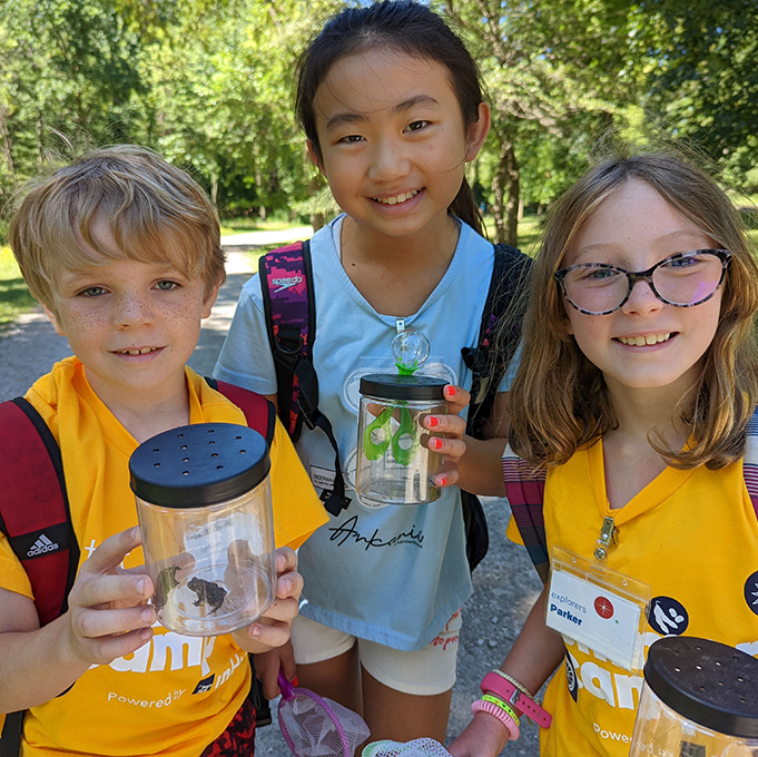 Summer Camp In Michigan For Grades 2 7